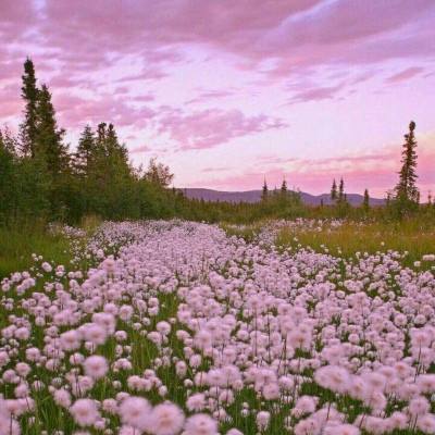 博鱼综合体育在线登录入口